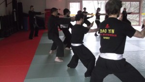 hunggarnancy-artsmartiaux-wushu-kungfu-ericbourbonnais-18janvier2015-3  